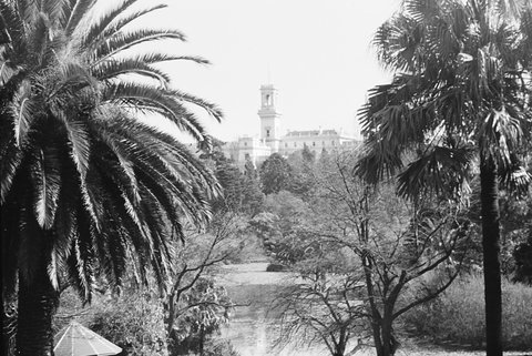Royal Botanic Gardens, Melbourne, 1954