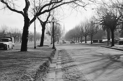St. Kilda Road, looking towards St. Paul's Cathedral, Melbourne, 1954