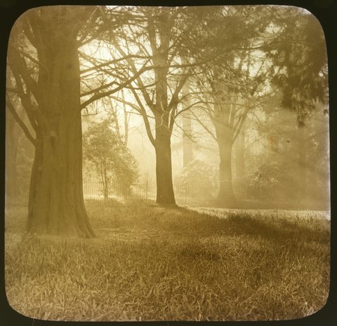 Fitzroy Gardens, Melbourne, 1875–1930