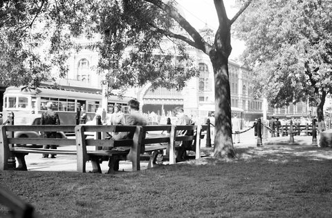 Men sitting on wooden park benches beside St. Paul's Cathedral, Melbourne, 1954