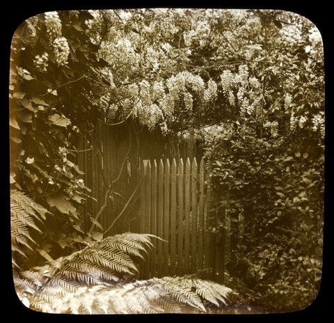 Powlett St. East Melbourne, 1875–1938