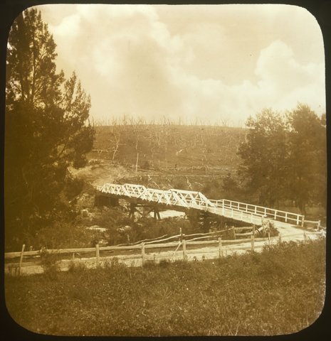 Fitzroy Bridge near Cox's River, Blue Mts [i.e. Mountains], 1875–1938