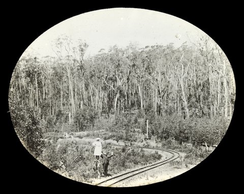 Man and woman standing by railway track, possibly the Dandenong Ranges, 1909