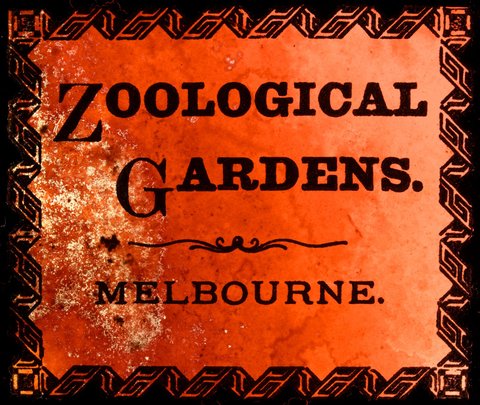 [Title Slide] Zoological Gardens, Melbourne, c. 1900