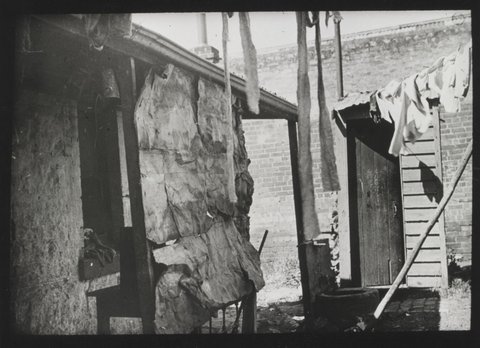 Collingwood back yard, c. 1935