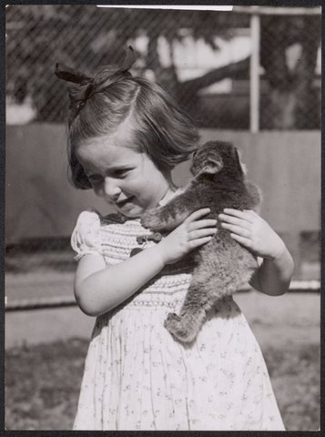 Janice Robinson and Jack Pinches at Melbourne zoo with baby koala, 1944