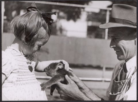 Janice Robinson and Jack Pinches at Melbourne zoo with baby koala, 1944