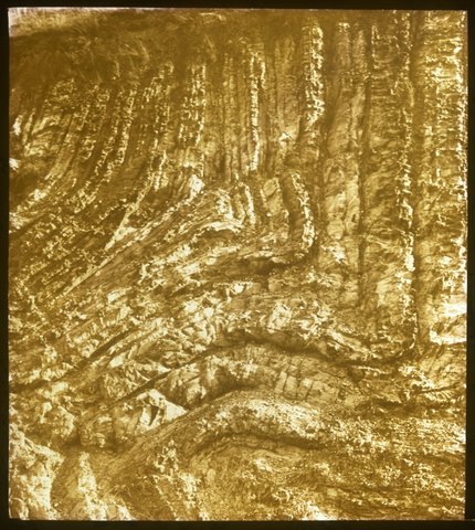 Monocline in Silurian Rock, Heyington [Toorak], 1875–1938