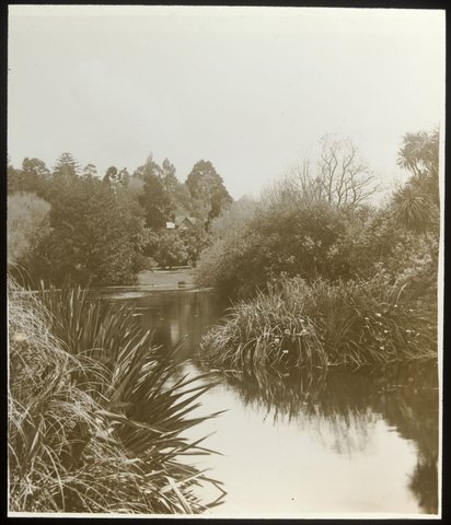 Lake in Melbourne Botanic Gardens, 1875–1938