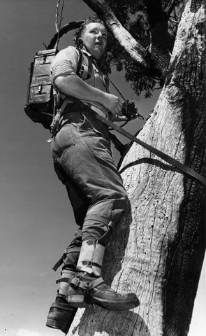 Troops from Melbourne University Rifles in camp at Puckapunyal, 1949–54