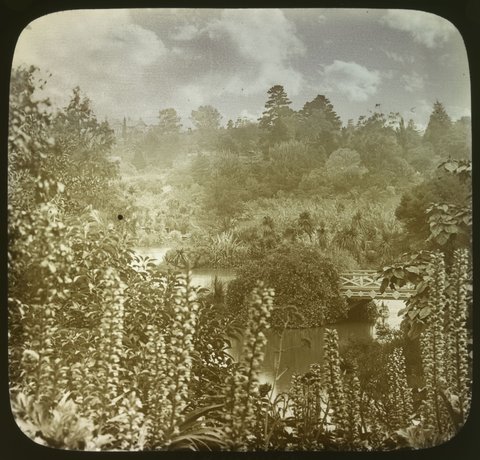 Botanical Gardens, Melbourne 1920