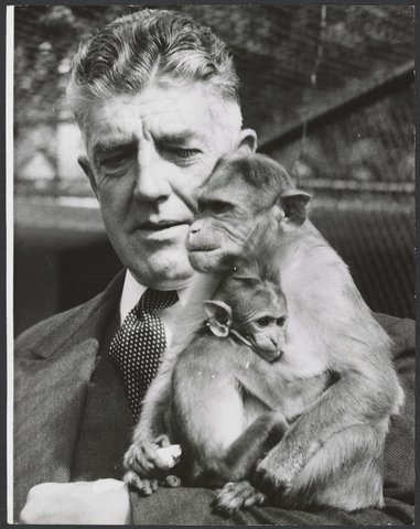 Chimpanzees and other primates at Melbourne Zoo, 1929–50