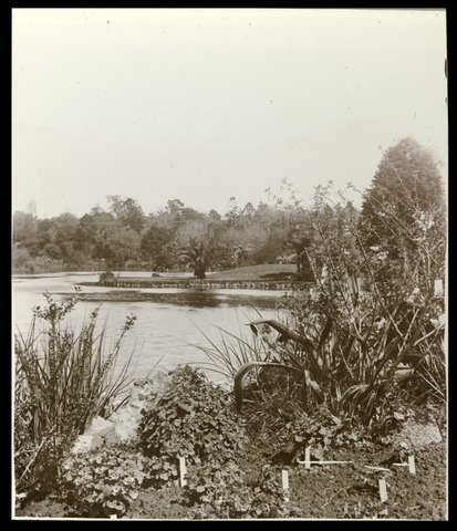 Lake, Botanical Gardens, Melbourne, 1875–1938