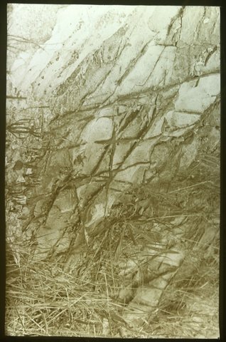 Ferruginous concretions, Heyington cutting Toorak, 1875–1938