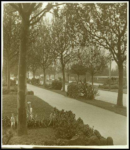 Alexandra Avenue (?), Melbourne, 1880–1938