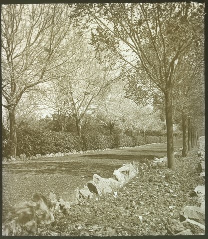 Alexandra Avenue, Melbourne 1921