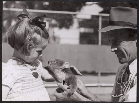 Janice Robinson and Jack Pinches at Melbourne zoo with baby koala, 1944