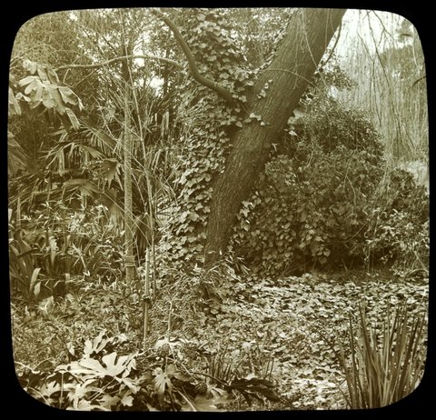 Fitzroy Gardens, Melb. i.e. Melbourne, 1875–1938