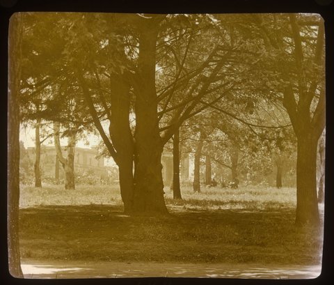 In Fitzroy Gardens, Melbourne, 1875–1938