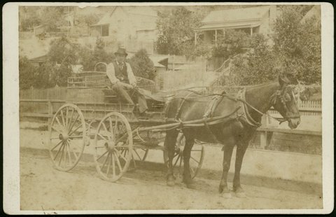 Photographs by Clark Brothers, 25 Thomas Street, Windsor, Vic, c. 1900