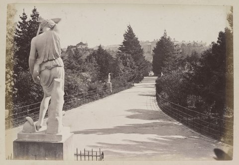 The Middle Avenue in the Fitzroy Gardens, 1870–80