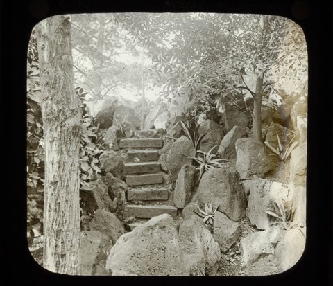 In the garden Government House, Melbourne, 1875–1938