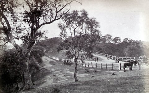 Studley Park, c. 1865