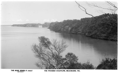 THE WOODED COASTLINE, BEAUMARIS, VIC, 1920–54