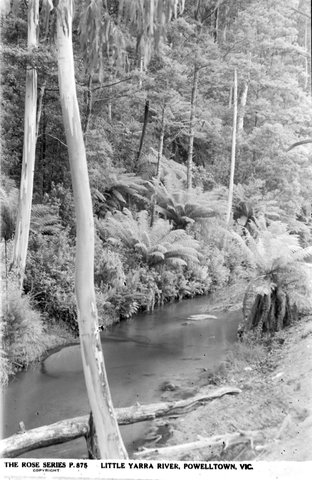 Little Yarra River, Powelltown, Vic, 1920–54