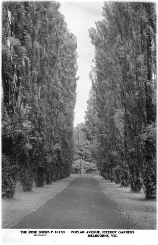 POPLAR AVENUE, FITZROY GARDENS, MELBOURNE, VIC, 1920–54