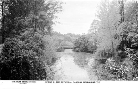 SPRING IN THE BOTANICAL GARDENS, MELBOURNE, VIC, 1920–54
