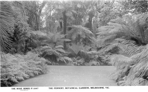 The Fernery, Botanical Gardens, Melbourne, 1920–54