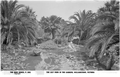 The Lily Pond In The Gardens, Williamstown, Victoria, 1920–54
