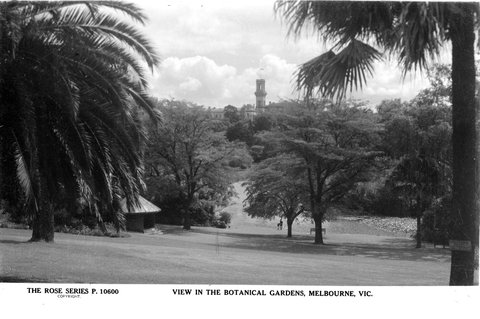 VIEW IN THE BOTANICAL GARDENS, MELBOURNE, VIC, 1920–54