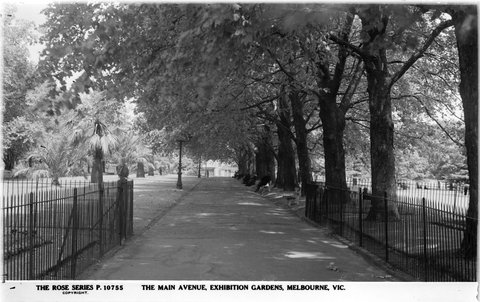 THE MAIN AVENUE, EXHIBITION GARDENS, MELBOURNE, VIC, 1920–54