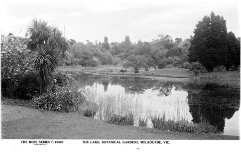 THE LAKE BOTANICAL GARDENS, MELBOURNE, VIC, 1920–54