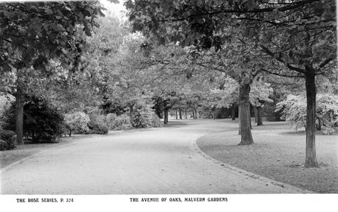 The Avenue Of Oaks, Malvern Gardens, 1920–54