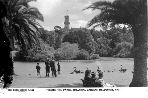 Feeding The Swans, Botanical Gardens, Melbourne, Vic, 1920–54
