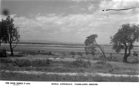 Rural Aspendale. Farmlands abound, 1920–54