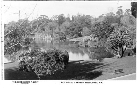 BOTANICAL GARDENS, MELBOURNE, VIC, 1920–54