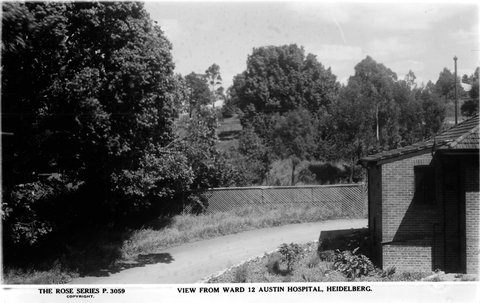 View From Ward 12 Austin Hospital, Heidelberg, 1920–54