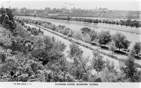 Alexandra Avenue, Melbourne, Vic, 1920–54