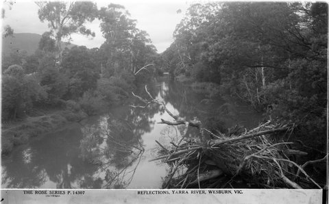 REFLECTIONS, YARRA RIVER, WESBURN, VIC, 1920–54