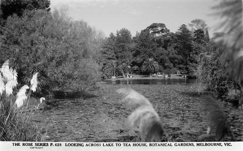 LOOKING ACROSS THE LAKE TO THE TEA HOUSE, BOTANICAL GARDENS, MELBOURNE, VIC, 1920–54