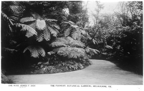 The Fernery, Botanical Gardens, Melbourne, Vic, 1920–54