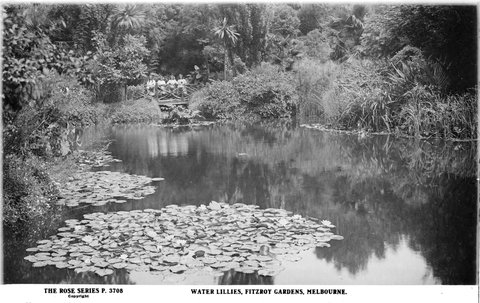 WATER LILLIES, FITZROY GARDENS, MELBOURNE, 1920–54
