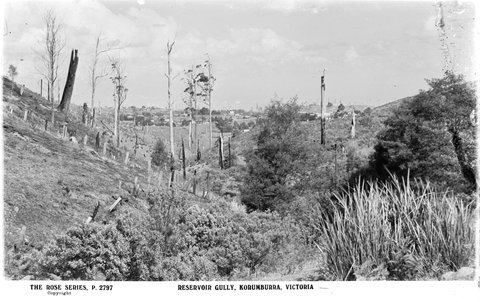 Reservoir Gully, Korumburra, Victoria, 1920–54