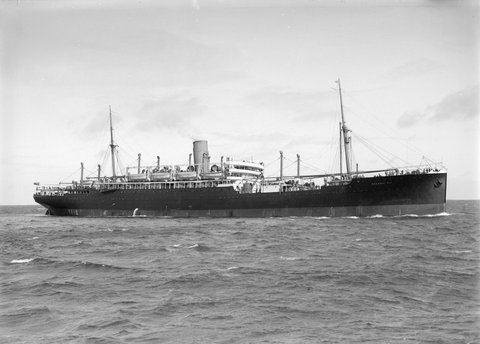 Hobsons Bay, 1900–54