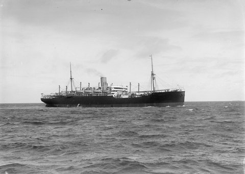 Hobsons Bay, 1900–54