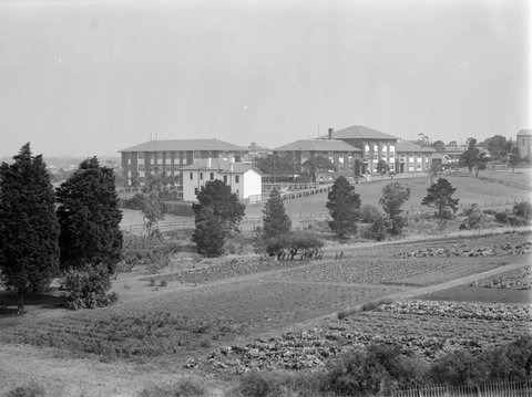 Serum Lab. I.E. Laboratory, Royal Park, 1900–54